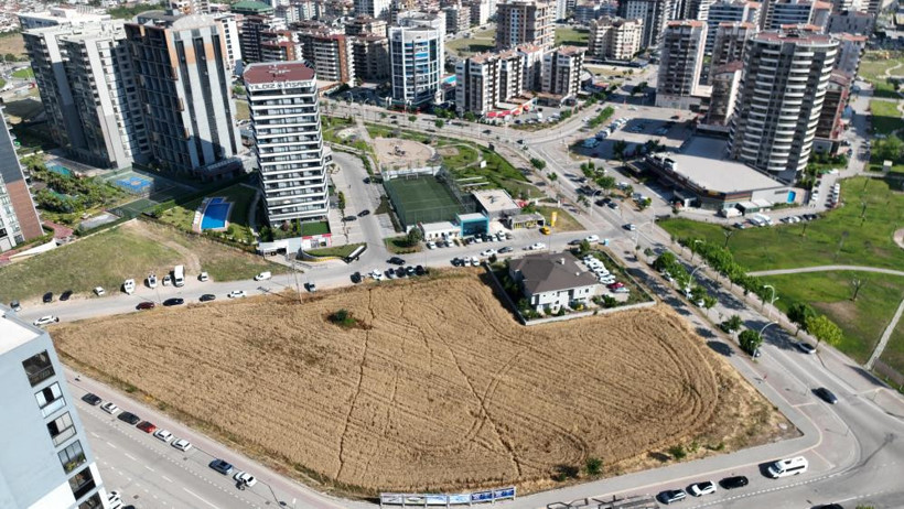Milyon dolarlık gökdelenlerin tam ortasında hasat yapıyorlar - Resim : 1