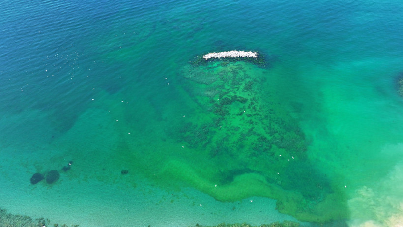 Marmara'da müsilaj istilası: Kirlilik azalmıyor, risk sürüyor - Resim : 1