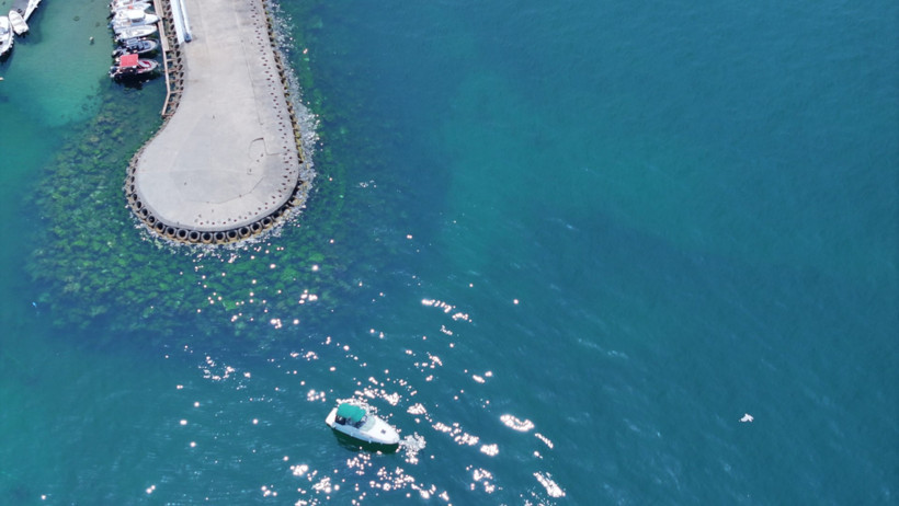 Marmara'da müsilaj istilası: Kirlilik azalmıyor, risk sürüyor - Resim : 2