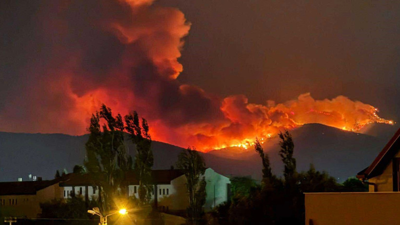 İzmir Ödemiş'teki orman yangınında can kaybı - Resim : 1