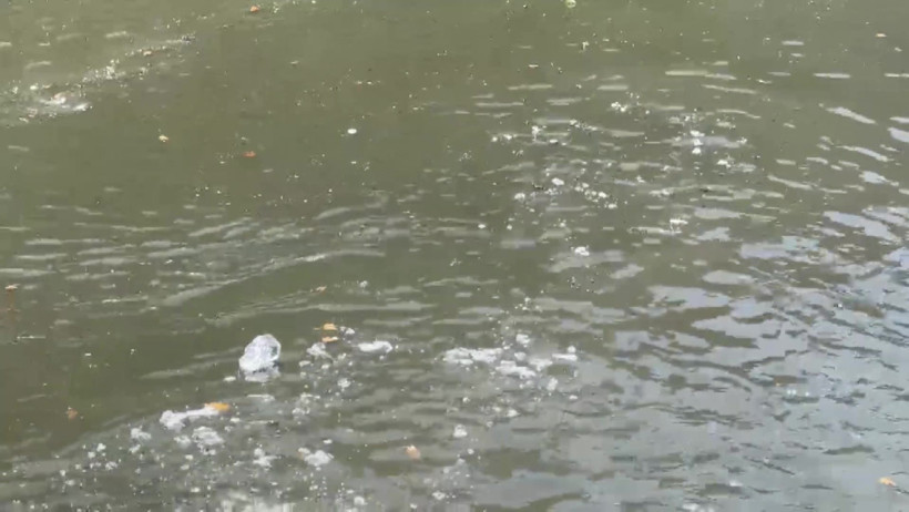 Küçükçekmece'de dere kokusu mahalleliyi isyan ettirdi - Resim : 1