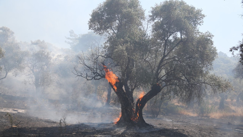 Milas'ta iki yangın söndürüldü - Resim : 3