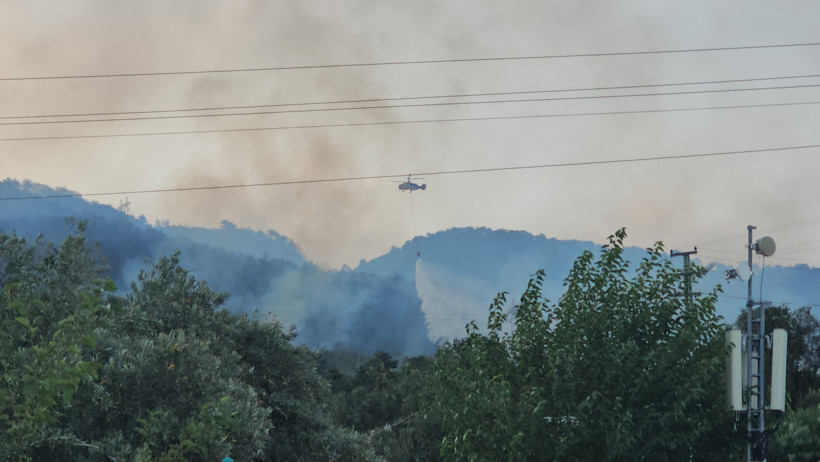 Hatay'daki orman yangını 2'nci gününde - Resim : 1