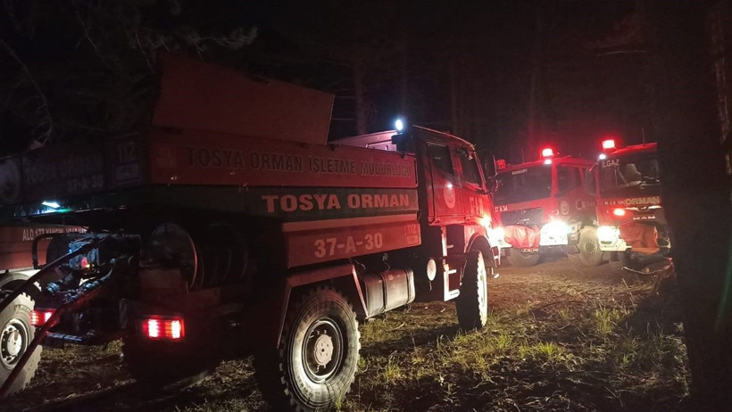 Çankırı'da orman yangını - Resim: 4