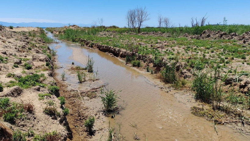 Fabrika suyu can alıyor: 2 haftada 104 koyun öldü - Resim : 1