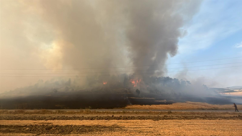 3 ilde orman yangını - Resim : 1