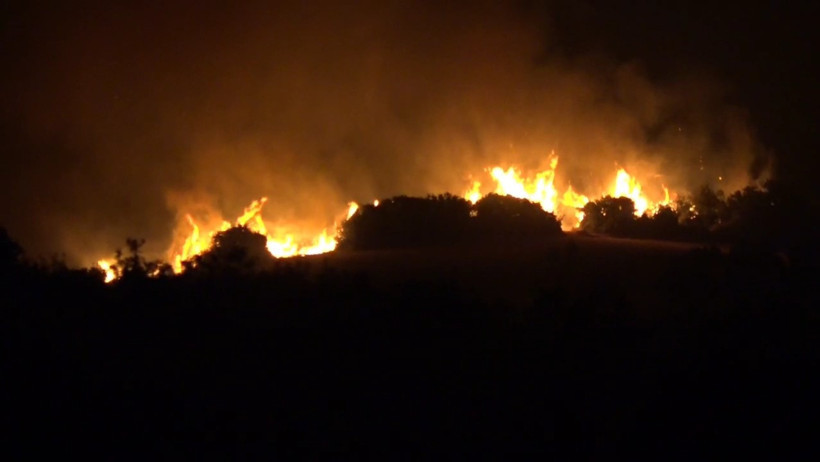 Tekirdağ yangını yayılıyor - Resim : 1