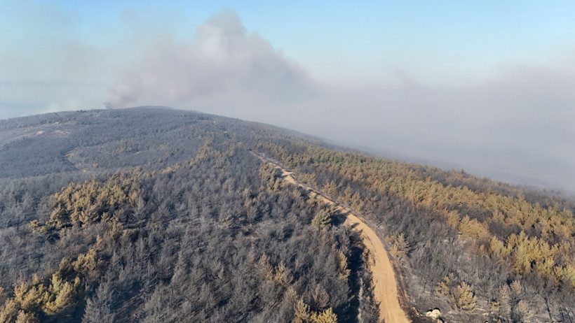 Tekirdağ yangını yayılıyor - Resim : 8