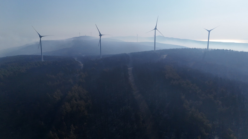 Tekirdağ yangını yayılıyor - Resim : 7