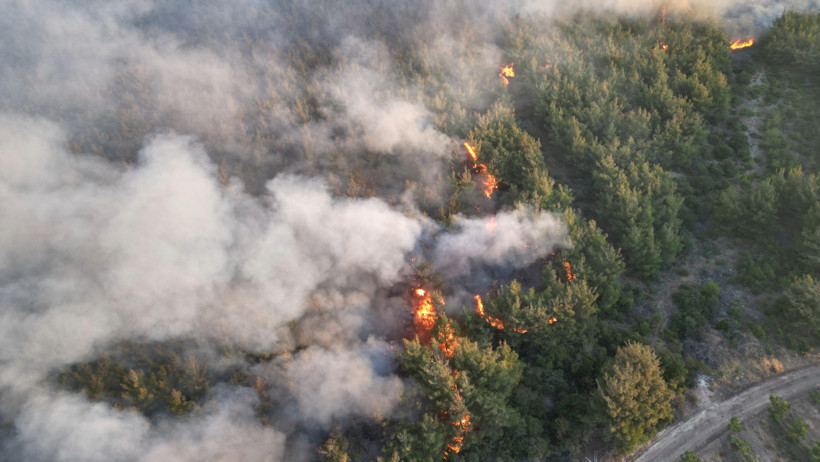Tekirdağ yangını yayılıyor - Resim : 5