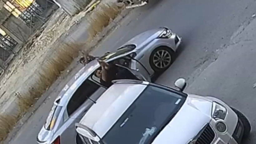 Suç örgütü operasyonunda 27 tutuklama - Resim : 1