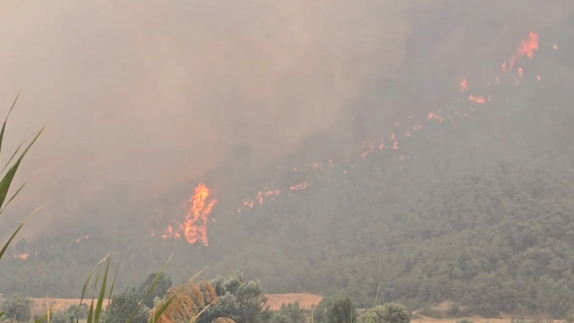Bilecik yangını 4. gününde de sürüyor... - Resim : 1