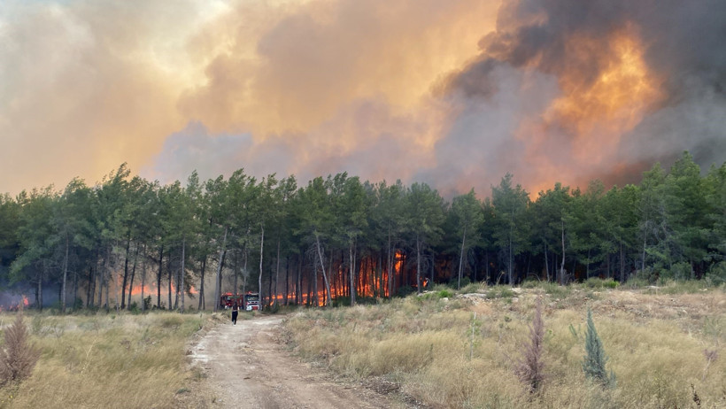 Antalya'da 4 ilçede orman yangını: Evler tahliye edildi - Resim : 7