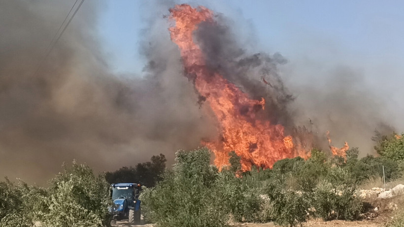 Üç ilde orman yangını - Resim : 2