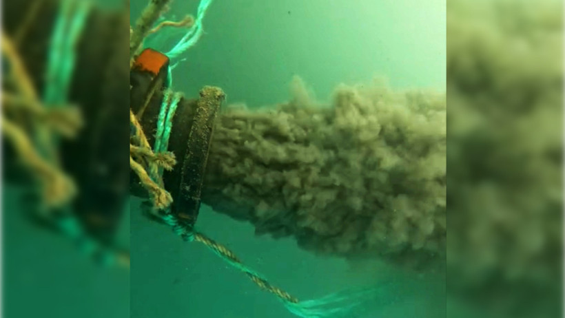 Kirlilikle gündeme gelmişti: Şimdi de 500 metrelik boru kıyaya vurdu - Resim : 2