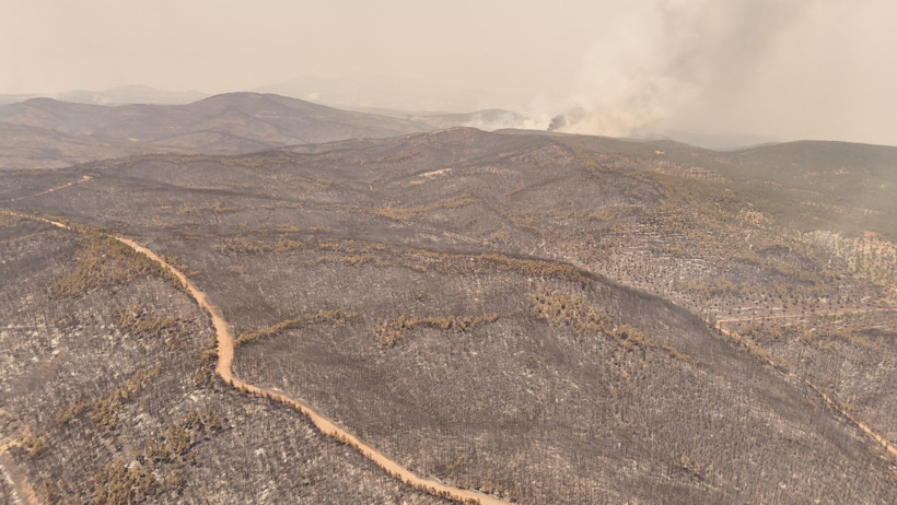 Orman kundakçısı kamerada: Çalıları tutuşturup izini kaybettirdi - Resim : 6