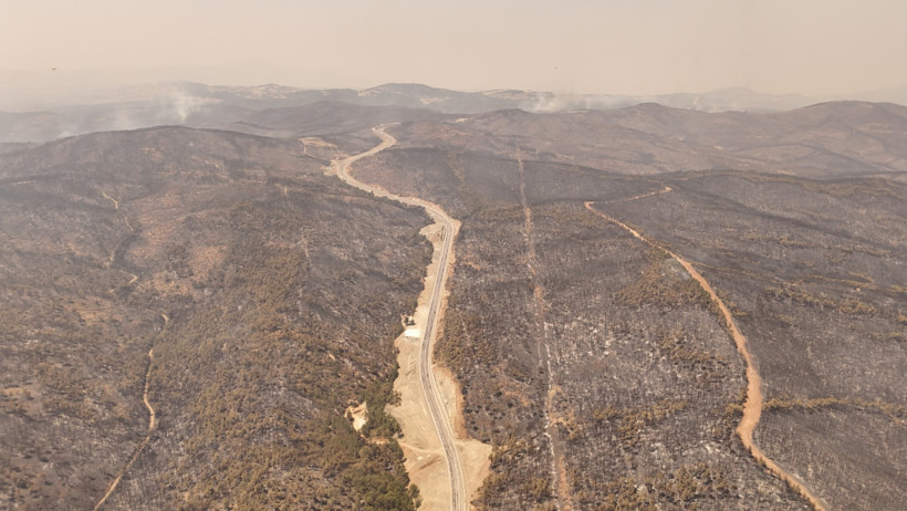Orman kundakçısı kamerada: Çalıları tutuşturup izini kaybettirdi - Resim : 5