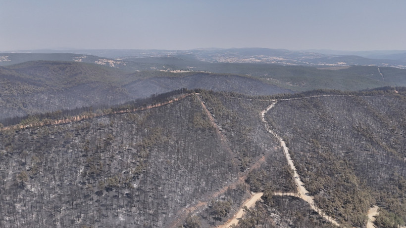Orman kundakçısı kamerada: Çalıları tutuşturup izini kaybettirdi - Resim : 4