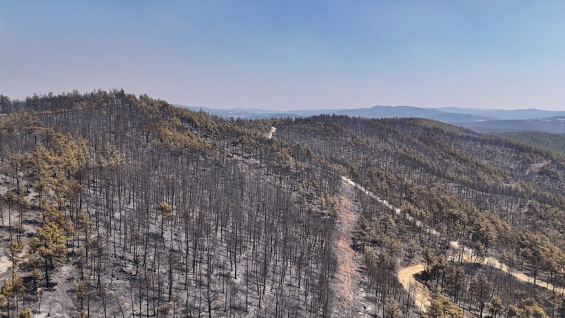 Orman kundakçısı kamerada: Çalıları tutuşturup izini kaybettirdi - Resim : 3