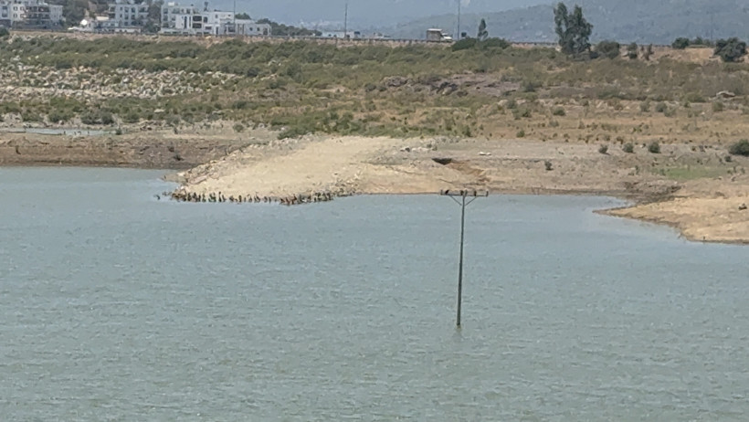 Bodrum'da su alarmı: 2 ayda yüzde 15 düştü - Resim : 1