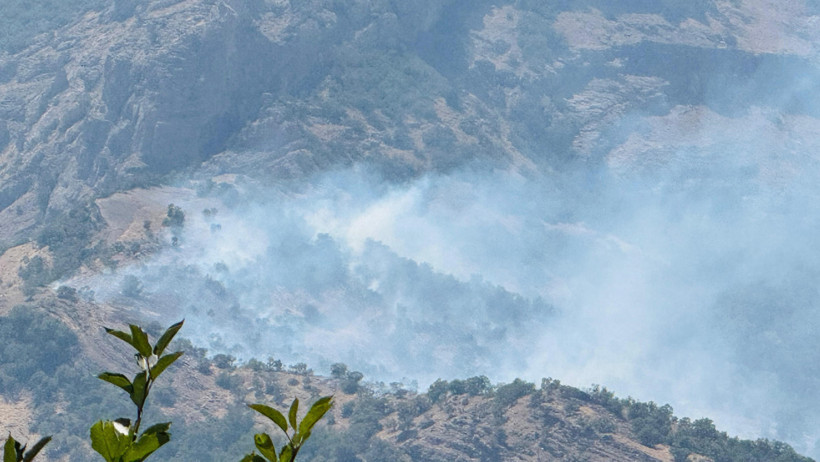 Şırnak'ta orman yangını - Resim : 1