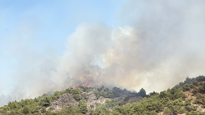 Tokat'ta orman yangını - Resim : 1