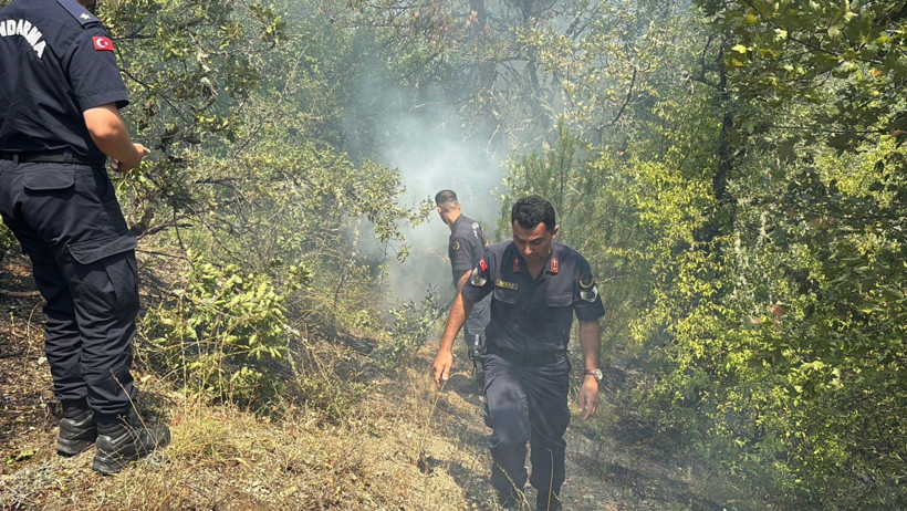 Bolu’da orman yangını - Resim : 3