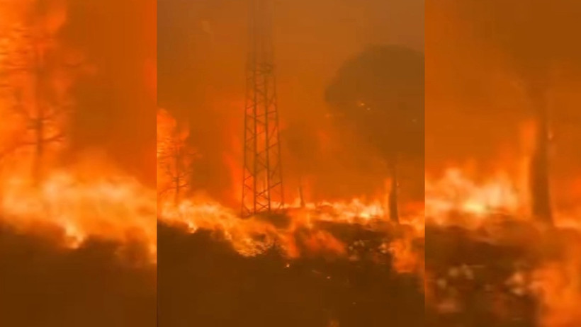 Yangınla mücadelede alevlerin arasında kaldılar - Resim : 1