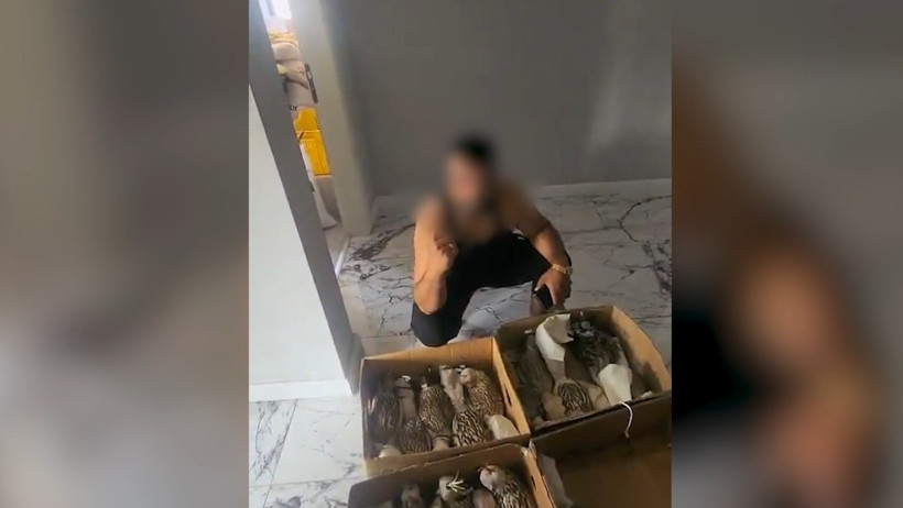 Yasaklı kuşları yurt dışına satıyordu: Silivri’de suçüstü yakalandı - Resim : 1