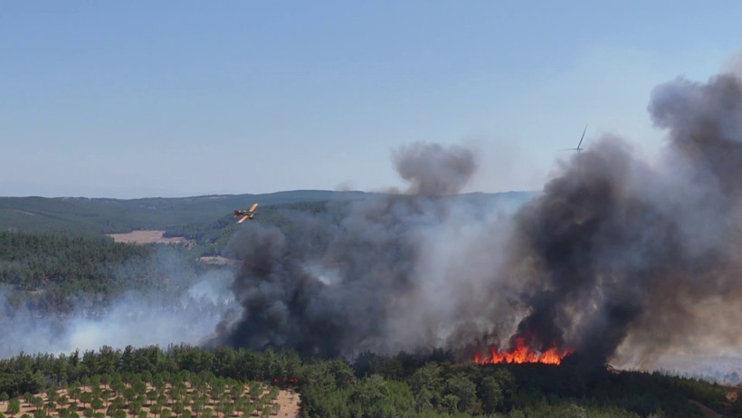 Çanakkale'deki orman yangını kontrol altına alındı - Resim : 2