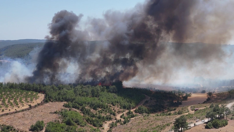 Çanakkale'deki orman yangını kontrol altına alındı - Resim : 1