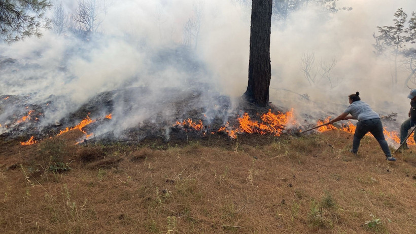 Çanakkale'de yine orman yangını - Resim : 2
