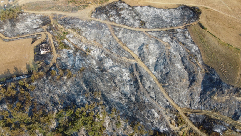 Çanakkale'de yanan alanlar havadan görüntülendi - Resim : 2