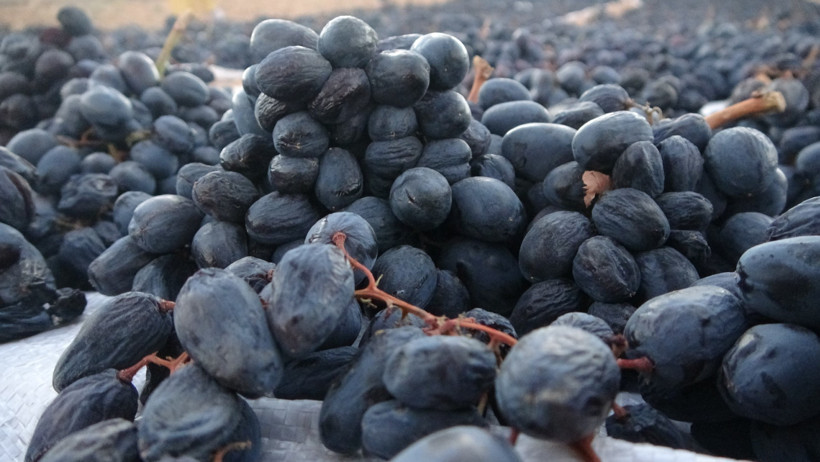 Güneşte 48 saat bekletip kilosunu 500 liraya satıyorlar - Resim : 2