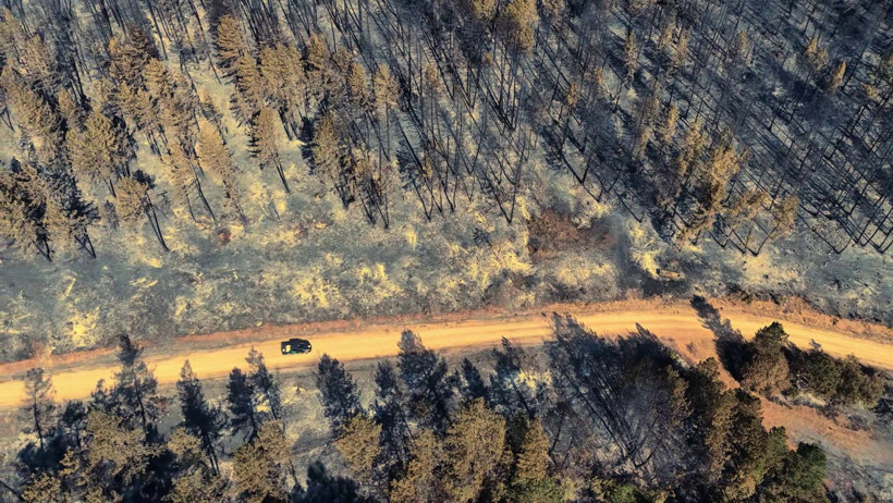 Karabük'teki orman yangınından geriye acı manzara kaldı - Resim : 3