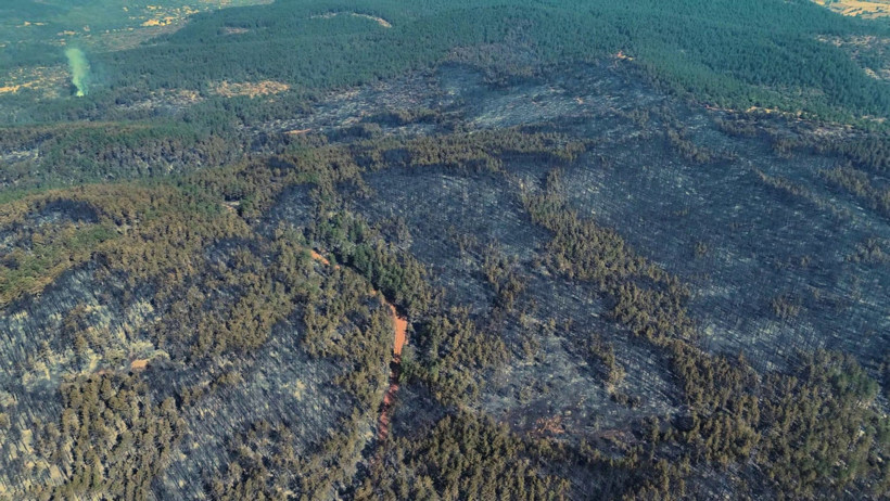 Karabük'teki orman yangınından geriye acı manzara kaldı - Resim : 2