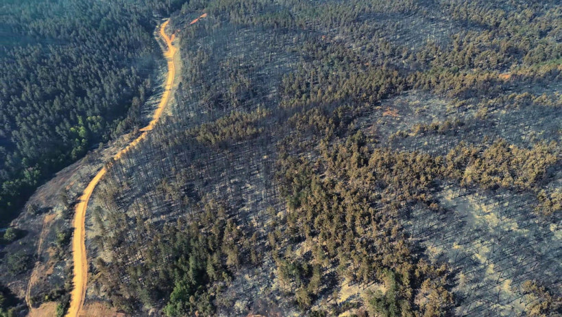 Karabük'teki orman yangınından geriye acı manzara kaldı - Resim : 4