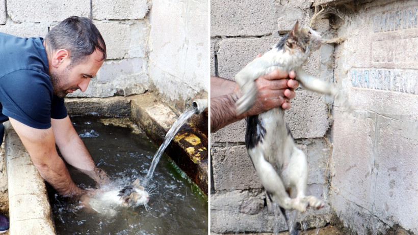 Alevlerin arasına dalıp kediyi kurtardı - Resim : 2