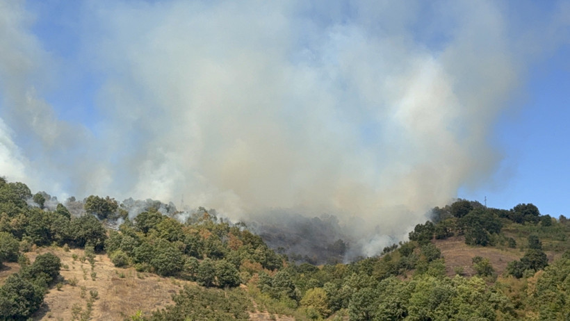 Düzce'de orman yangınına havadan ve karadan müdahale ediliyor - Resim : 1