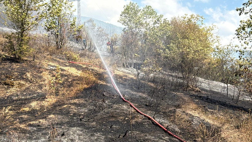 Karabük'te evde çıkan yangın, ormana sıçradı - Resim : 2