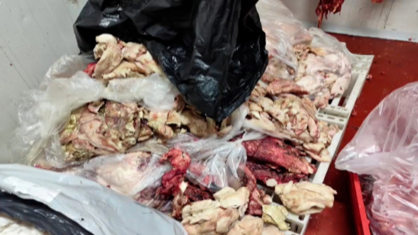 Ankara’da gıda skandalı! Üç işletmenin faaliyeti durduruldu - Resim : 3