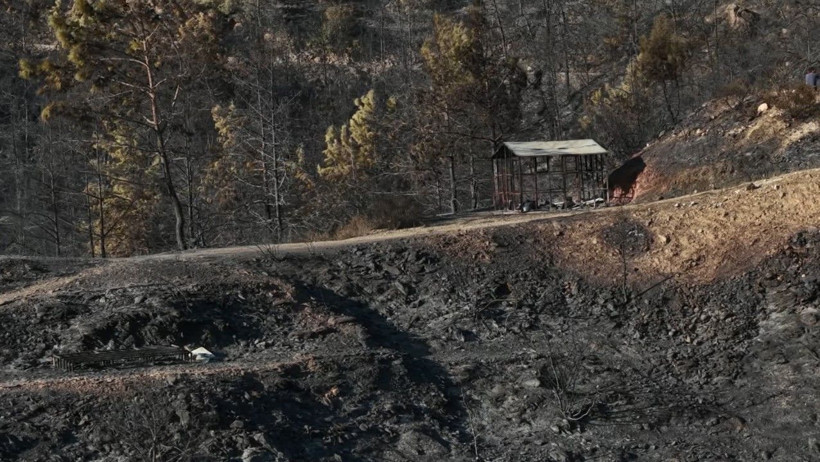 Antalya kâbusu yaşadı: 24 saatte 21 yangın - Resim: 33