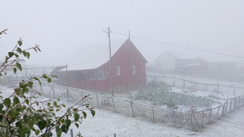 Doğu Karadeniz'in yüksek kesimleri beyaza büründü - Resim : 1