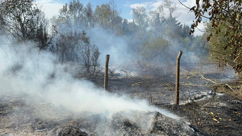 Büyükçekmece’de korkutan yangın - Resim : 2