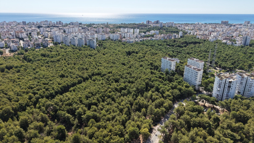 55 yıllık arazi davası: Değeri 5 milyar dolar - Resim : 3