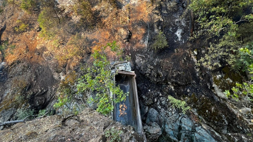 Araç kaza yaptı, orman yangını çıktı - Resim : 1