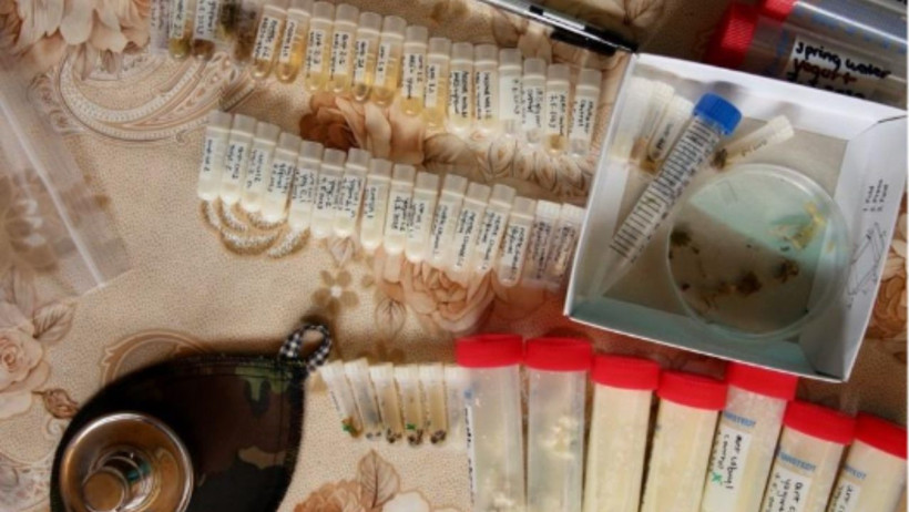 Karınca kattılar, yoğurda dönüştü: Michelin restoranında test edildi - Resim : 1