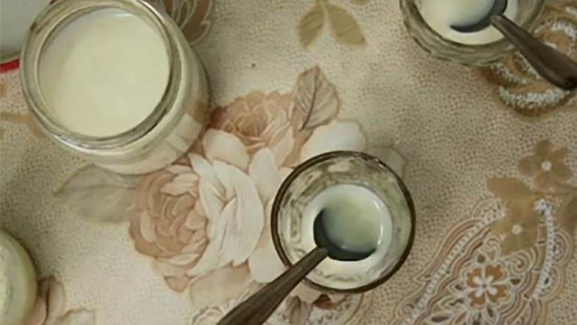 Karınca kattılar, yoğurda dönüştü: Michelin restoranında test edildi - Resim : 2