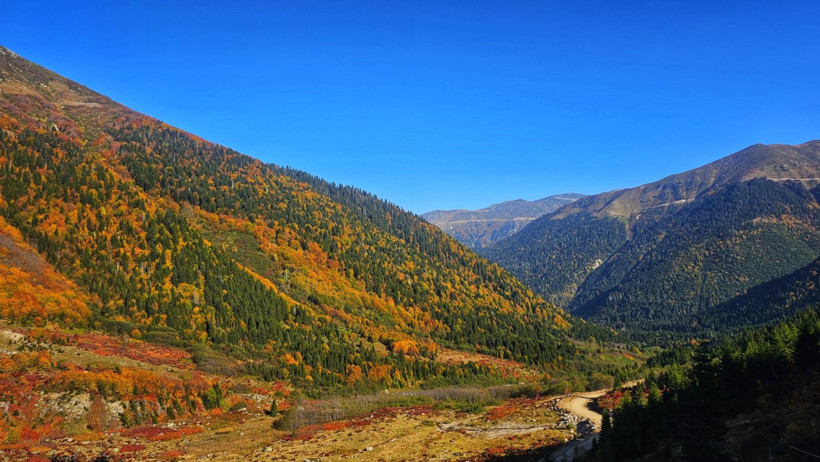 Burası Karadeniz’in İsviçre'si: Sonbaharda görsel şölen sunuyor - Resim: 1