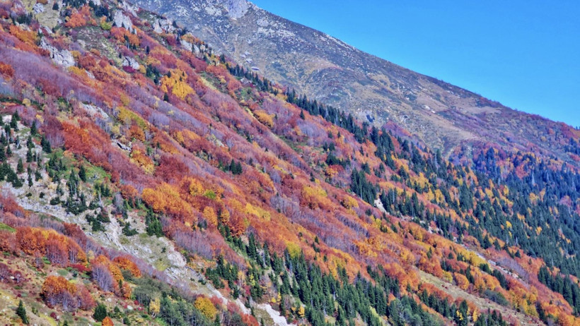 Burası Karadeniz’in İsviçre'si: Sonbaharda görsel şölen sunuyor - Resim: 20